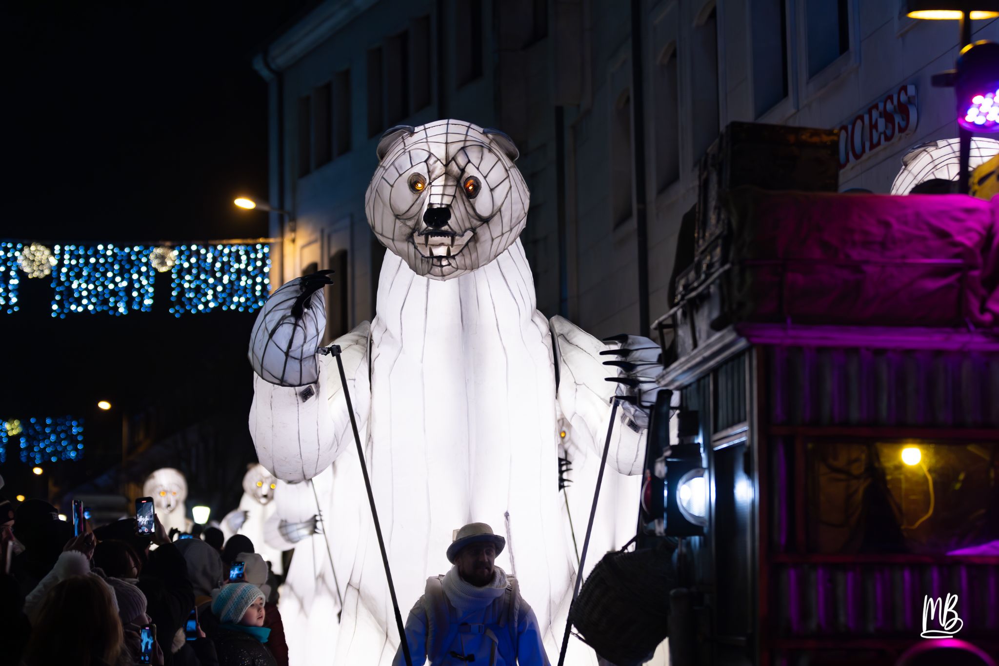 MB2024 CIE REMUE MENAGE(Gueule d'ours) (17 sur 107)